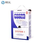 VERSI-FOAM喷涂泡沫套件System 1