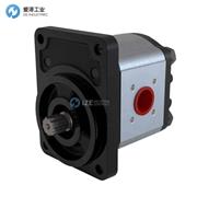 BLUE ASCEND齿轮泵AP20.250/080.CAB02SN-T