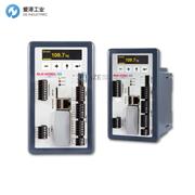 BLH过程称重仪表G5-RMD-S-DC-W