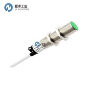 SELET传感器BCR1G3010PO