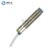 RECHNER传感器IAS-10-A22-S-M12-PA/VAb-Z02-0