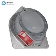 BINMASTER倾斜开关BM-65-RHT