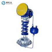 NORDSTEAM减压阀NST-BDV DN25 PN16