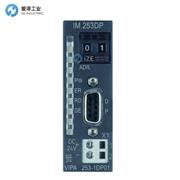 VIPA接口？253-1DP01