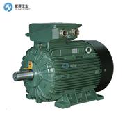 EMTAS电机NMST 100L6