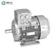 ELEKTRA电机1TZ9001-0CB22-2NA4
