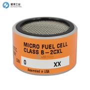 TELEDYNE氧传感器CLASS B-2CXL