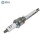 ECLIPSE点火棒10019728