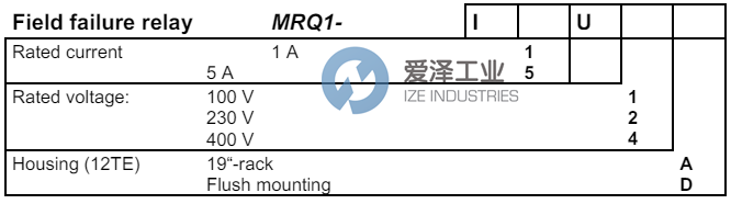 SEG继电器MRQ1I5U1D 天生赢家凯发一触即发工业 ize-industries (2).png